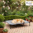 PawHut XL Sized Elevated Dog Bed Cot - 48" L x 36" W - Light Grey-Powder-coated metal frame provides high stability and great weight capacity 