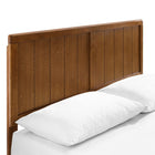 Modway Alana Wood Twin Platform Bed with Angular Frame - Walnut-Wood, MDF, and Veneer Construction