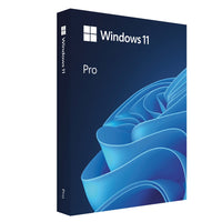 Microsoft Windows 11 Pro 64-bit Operating System - USB Flash Drive - French-Product type: USB Format