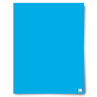 Royal Brites Heavyweight Poster Board - 22" x 28" - Bright Blue-Smooth surface works well with paints, markers and adhesives so you can customize your display easily
