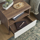 Modway Envision Nightstand - Walnut White-White Laminate Drawer Front