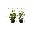 Monarch Specialties 14" Artificial Indoor Ficus - Table - Black Pots - Set of 2-These easy-care faux table plants are made from the highest quality materials and require no maintenance or watering
