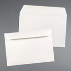 JAM Paper 6.5" x 9.5" Booklet Envelopes, White, 250 Pack (4241h)-4