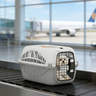 PawHut - Cage de transport pour chat rigide - caisse de transport pour animaux en plastique homologuée pour avion-Ventilation à 360 degrés offrant une excellente circulation de l'air, gardant votre animal au frais et calme 