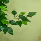 HOMCOM 5' Artificial Ficus Tree for Home Decor - Green-Type: Ficus 
