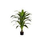 Monarch Specialties - Plante Artificielle - 47 po H - Arbre De Dracaena - Mis En Pot - Touche Réelle - Feuilles Vertes - Pot Noir-Ajoutez une touche apaisante de verdure à votre maison ou votre bureau avec cet arbre dracaena artificiel qui mesure 47 po de haut et est installé dans un pot noir de 5 po