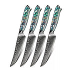 Minimal 4-Pieces Damascus TransShell Steak Knife Set, Service for 4-Forged 67-layer Damascus steel with the VG10 steal core