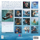 Sellers Publishing Inc. - Calendrier mural 2026 - Underwater Dogs - Anglais-En prime : calendrier de septembre à décembre 2025