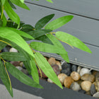 HOMCOM 4.6' Artificial Bamboo Tree in Pot for Indoor Decoration - Green-Material: PE, PP, Cement 