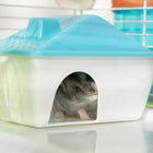 PawHut 31" Large Hamster Cage with Tunnel Tube System - Blue-Material: Steel Wire, PP, PS