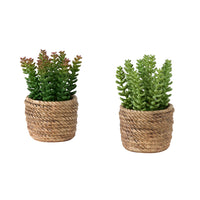 Monarch Specialties - 9367 Succulente Artificielle 7" de Haut - Pots en Ciment Brun - Ensemble de 2-Cet ensemble de 2 plantes artificielles comprend des succulentes artificielles de 7" de hauteur, conçues pour sublimer toute table de votre maison ou bureau