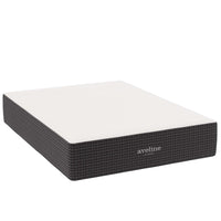 Modway Aveline 14" Memory Foam Queen Mattress-5" Cooling Gel-Infused Memory Foam