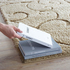 Modway - Jubilant Hag de vigne défilante en plein essor Tapis de 5 pi l x 8 pi L - Crème et beige-Polypropylène tendre à haute densité