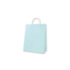 Sac en papier Kraft, moyen, bleu pâle, 12 sacs-Bleu clair