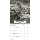 DateWorks 2026 16-Month Wall Calendar - 12" x 12" - Wolves - Bilingual-September 2025 - December 2026