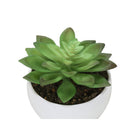 Monarch Specialties - Plante Artificielle - 6 po H - Succulent - Mis En Pot - Ensemble De 3 - Plantes Vertes - Pots Blancs-Dimensions du produit : 4 po L x 4,5 po L x 5,75 po H : 4 po L x 4,5 po L x 5,5 po H : 4 po L x 4,5 po L x 4,5 po x 4,25 po H