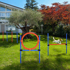 PawHut Dog Pet Agility Training Kit with High Jump, Weave Pole and Ring-Adjustable height of high jump 