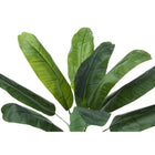 Monarch Specialties - Plante Artificielle - 43 po H - Bananier - Mis En Pot - Touche Réelle - Feuilles Vertes - Pot Noir-6