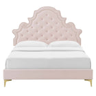 Modway Gwyneth Tufté Performance Velours Lit Plateforme Full Avec Pieds en Métal Doré - Rose-8
