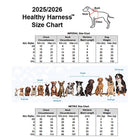 Healthy Harness - Harnais pour chien Supreme Sport - Argent - XL-Facile à enfiler et à retirer : sa conception à enfiler sans effort et ses boucles à dégagement rapide rendent l’enfilage très simple