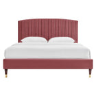 Modway Alessi Performance Velvet Queen Platform Bed with Wood Legs and Gold Metal Sleeves - Dusty Rose-Channel Tufted Headboard