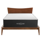 Modway - Aveline 16 po Mousse à mémoire de forme Matelas Queen-Garantie limitée d'un an du fabricant