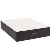 Modway Aveline 16" Memory Foam Queen Mattress-6" Cooling Gel-Infused Memory Foam