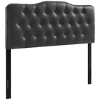 Modway Annabel Upholstered Vinyl Queen Headboard - Black-Elegantly tufted button headboard