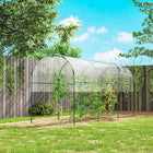 Outsunny - serre d’extérieur en polycarbonate 6,3 pi x 2,3 pi x 6,1 pi avec étagères à 3 niveaux- Cadre en acier pour une structure solide et stable
