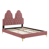 Modway Alexandria Tufted Performance Velvet Twin Platform Bed with Gold Metal Legs - Dusty Rose-Tufted Twin Bed Frame
