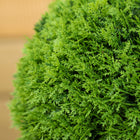 HOMCOM - Arbre décoratif artificiel de cyprès 43,3 po en pot - vert-Couleur : Vert 