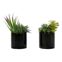 Monarch Specialties - Plante Artificielle - 7 po H - Succulent - En Pot - Ensemble De 2 - Plantes Vertes - Pots Noirs Brillants-Ensemble de 2 plantes succulentes artificielles de 7 pouces de haut dans des pots noirs brillants chics de 3 pouces, recouverts de vrais cailloux