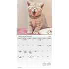 DateWorks 2026 16-Month Mini Wall Calendar - 7" x 7" - Cuddly Kittens - Bilingual-Animals