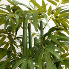HOMCOM 6' Artificial Bamboo Tree in Pot for Indoor - Green-Colour: Green 