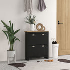 HOMCOM Hallway Shoe Cabinet with 2 Flip Drawers for 12 Pairs - Black-Compact design makes it great for small entryways or any narrow places