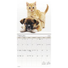 DateWorks 2026 16-Month Mini Wall Calendar - 7" x 7" - Buddies - English-Animals