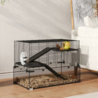 PawHut - Cage avec Bassin en Verre pour Petits Hamsters - Noir-Couleur : Noir