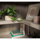 Sauder Corner 5-Shelf Bookcase - Chalked Chestnut-Clear instructions: With illustrated instructions and labeled parts, you'll set it up quickly and easily