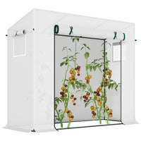 Outsunny - Serre de marche 6,6 pi x 2,5 pi x 5,5 pi avec structure en acier, porte et fenêtre-Convient pour une utilisation toute l'année  
