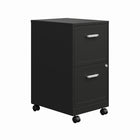 Hirsh 2-Drawer Mobile Vertical File Cabinet - Black-Fully assembled welded cabinet. Assembly of the handles and optional casters required