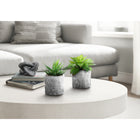 Monarch Specialties - Plante Artificielle - 6 po H - Succulent - En Pot - Ensemble De 2 - Feuilles Vertes - Pots En Ciment Gris-Chaque ensemble comprend deux faux succulentes de 7 po de haut nichées dans des pots de ciment de 4 po de couleur gris marbré avec des gravillons pour un look réaliste et sans effort
