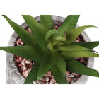 Monarch Specialties - Plante Artificielle - 6 po H - Succulent - En Pot - Ensemble De 2 - Feuilles Vertes - Pots En Ciment Gris-7