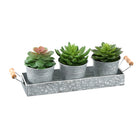 Monarch Specialties 9372 6" Tall Artificial Succulents - Silver Metal Pots - Set of 3-This set of 3 artificial plants features 6" tall artificial succulents designed to create a cohesive decorative display for any table or surface