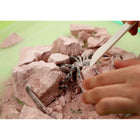 4M KidzLabs Creepy Crawly Digging Kit - Ages 5+-5