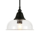 Hudson&Canal - Suspension Magnolia de 27,3 cm de large avec abat-jour en verre - Bronze noirci/grainé-Comprend un cordon réglable de 8 pieds