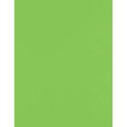 Jam Paper - 100 lb Carton, 8,5 po l x 11 po H, Vert lime, 50 Paquet-Papier cartonné pour des créations amusantes : Si vous aimez le scrapbooking, la création de cartes ou d'autres loisirs créatifs, vous adorerez notre papier cartonné de haute qualité de 215,9 mm x 279,4 mm (8,5 po x 11 po). Il est suffisamment résistant pour supporter les encres, les autocollants, les décorations et bien plus encore. Que vous immortalisiez vos vacances en famille ou que vous réalisiez un joli cadeau fait main, vous adorerez