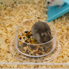 PawHut 23" 3-Tier Hamster Cage with Wheel and Water Bottle - Light Blue-Material: Steel, PP, PS
