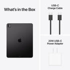 Apple 13" iPad Pro with Standard Glass - 256 GB - Wi-Fi + Cellular - Space Black-9