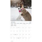 DateWorks - 2026 Mini Calendrier Mural 16 Mois - 7 po x 7 po - Chiots - Anglais -Septembre 2025 - Décembre 2026