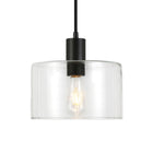 Hudson&Canal Henri 10" Wide Pendant with Glass Shade - Blackened Bronze/Clear-Paired with a clear drum glass shade